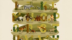 Animals national geographic artwork