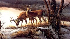 Animals nature deer painting artwork snow winter Mammals