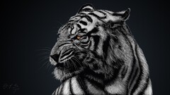 Animals nature glowing eyes tiger Mammals artwork big cats