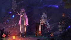 Animals night lights Dragons guitars scarfs anime girls flute 