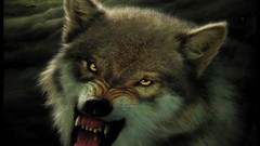 Animals night moon Wolves creatures fantasy art