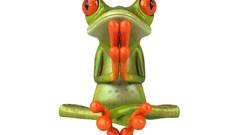Animals orange Frogs legs amphibians Red-Eyed Tree Frog