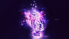 Animals Owls artwork digital art