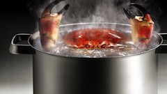 Animals pain cooking boiling