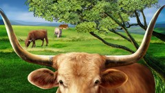 Animals paintings Bull multicolor