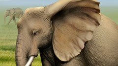 Animals paintings elephants