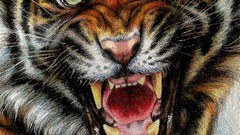 Animals paintings Tigers drawings digital art