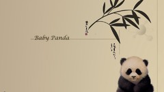 Animals panda bears
