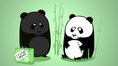 Animals panda bears