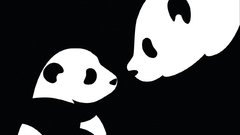 Animals panda bears black