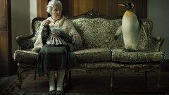 Animals Penguins old people