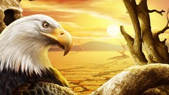 Animals Plants paintings bald eagles