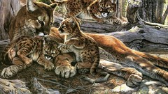Animals puma artwork baby animals