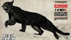 Animals puma red dead