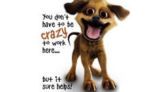 Animals Puppies Dogs Quotes