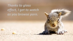 Animals Quotes squirrels
