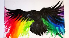 Animals rainbows crows