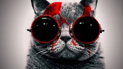 Animals red cats glasses Funny animals
