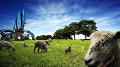 Animals retro funny weird