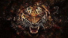Animals Revenge Tigers