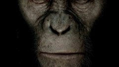 Animals Rise of the Planet of the Apes