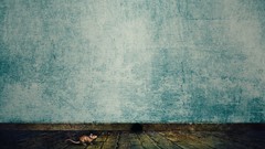 Animals room blue wall Holes floor houses mice mousehole