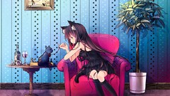 Animals room cats chairs dress socks sitting long hair anime 