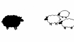 Animals sheep