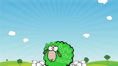 Animals sheep