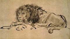 Animals sketches illustrations drawings