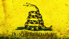 Animals snakes animal