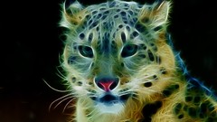 Animals snow leopards Fractalius
