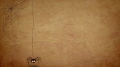 Animals spiders insects grunge spider webs brown background 