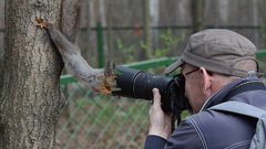 Animals squirrels Cameras
