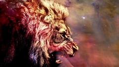 Animals Stars Lions outer space