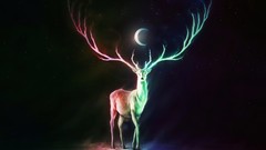 Animals Stars moon balance multicolor artwork digital art