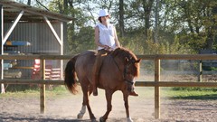 Animals summer Horses farm models western cowgirls