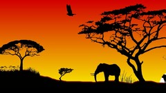 Animals sun Africa