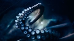 Animals tentacles underwater octopuses sealife