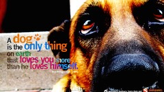 Animals text Dogs Quotes