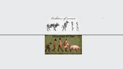 Animals text Men woman Evolution funny Cows pigs minimalistic