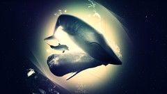 Animals text triangles Dolphins Whales surreal outer space