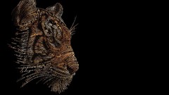 Animals text Typography black background Tigers typographic 