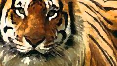 Animals Tigers artwork