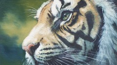 Animals Tigers artwork