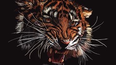 Animals Tigers artwork drawings