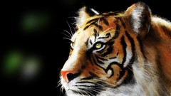 Animals Tigers blurred background digital art fantasy art