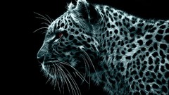 Animals Tigers digital art