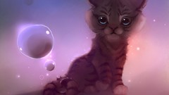 Animals Tigers feline apofiss