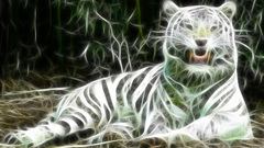 Animals Tigers Fractalius